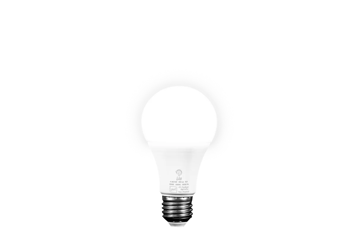لامپ حبابی ساده 12 وات-1